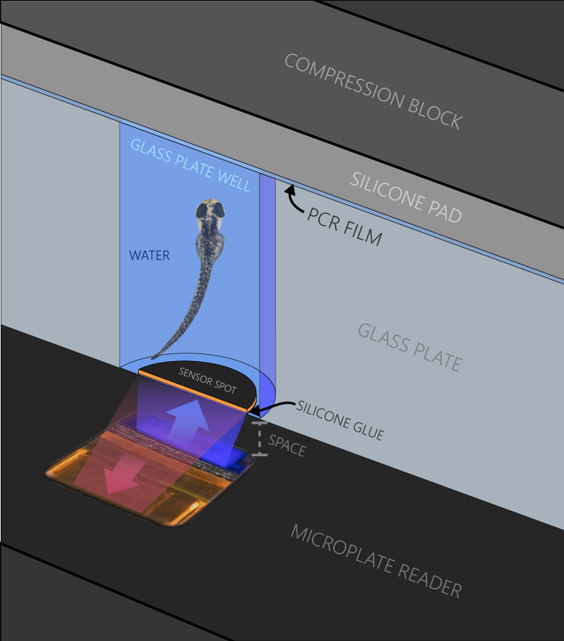 Microplate Diagonal Cut 3D Zoom In