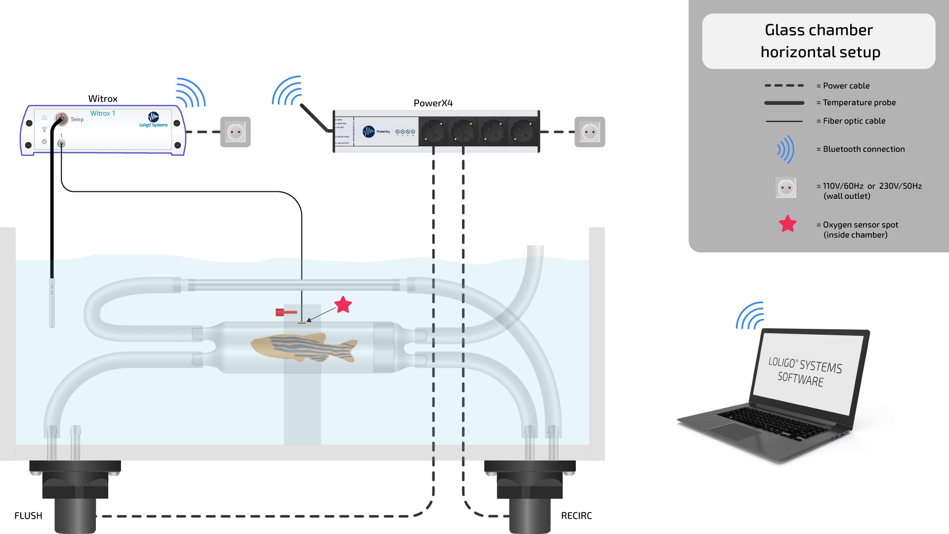 GLASS CHAMBER HORIZONTAL SETUP