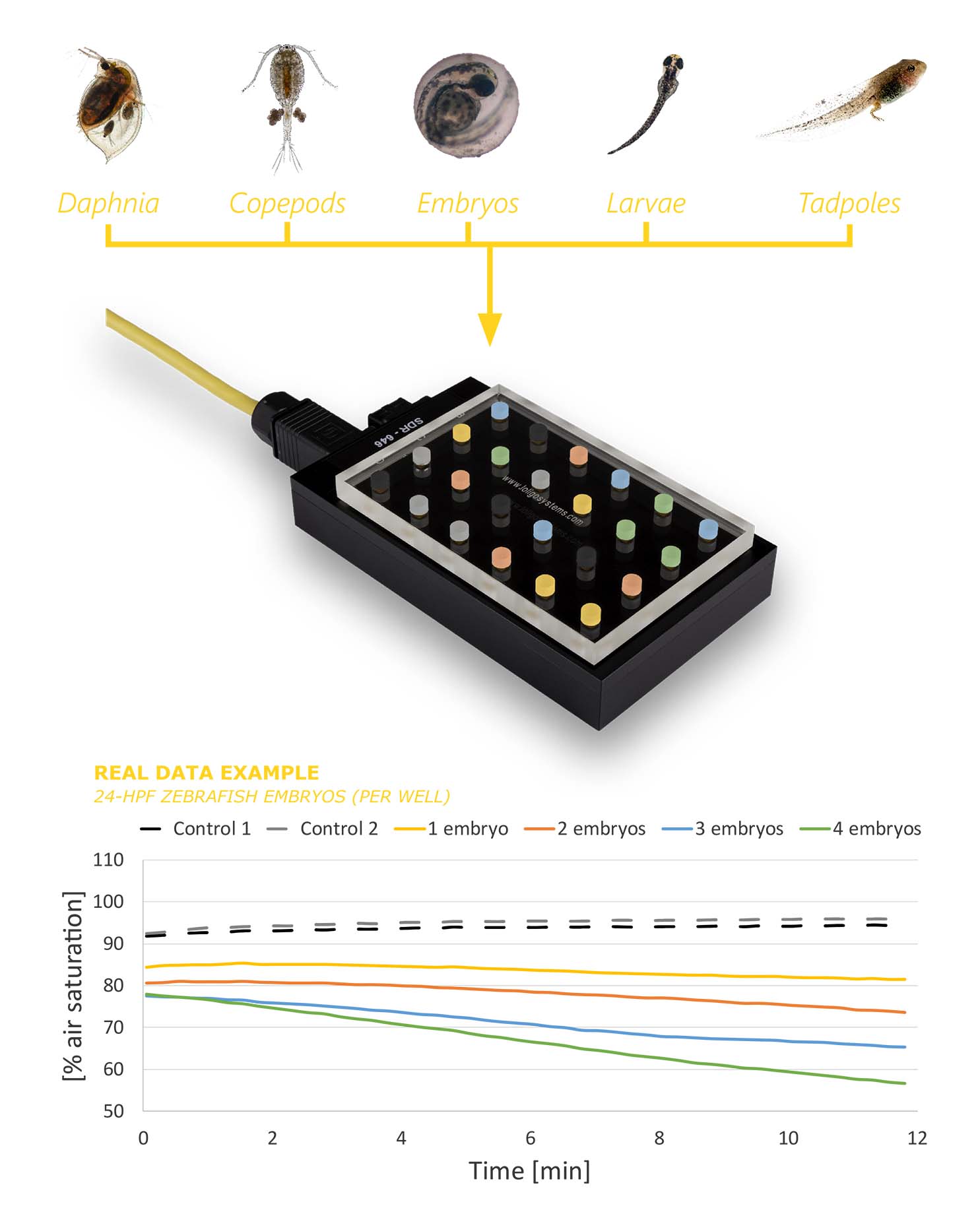 Microplate Data Setup